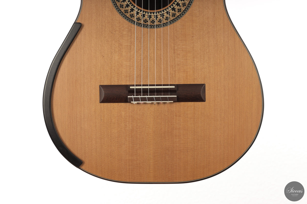 Fernando Mazza - 2025 20th Anniversary Model Lattice