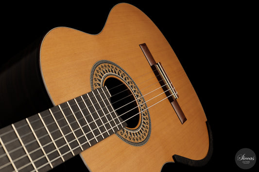 Fernando Mazza - 2026 img-2