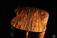 Fernando Mazza - 2025 Lattice REG 2025 Limited Edition