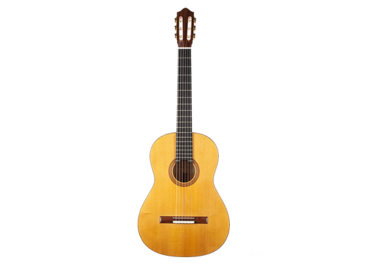 Mirko Migliorini & Roberto Pozzi - 2005