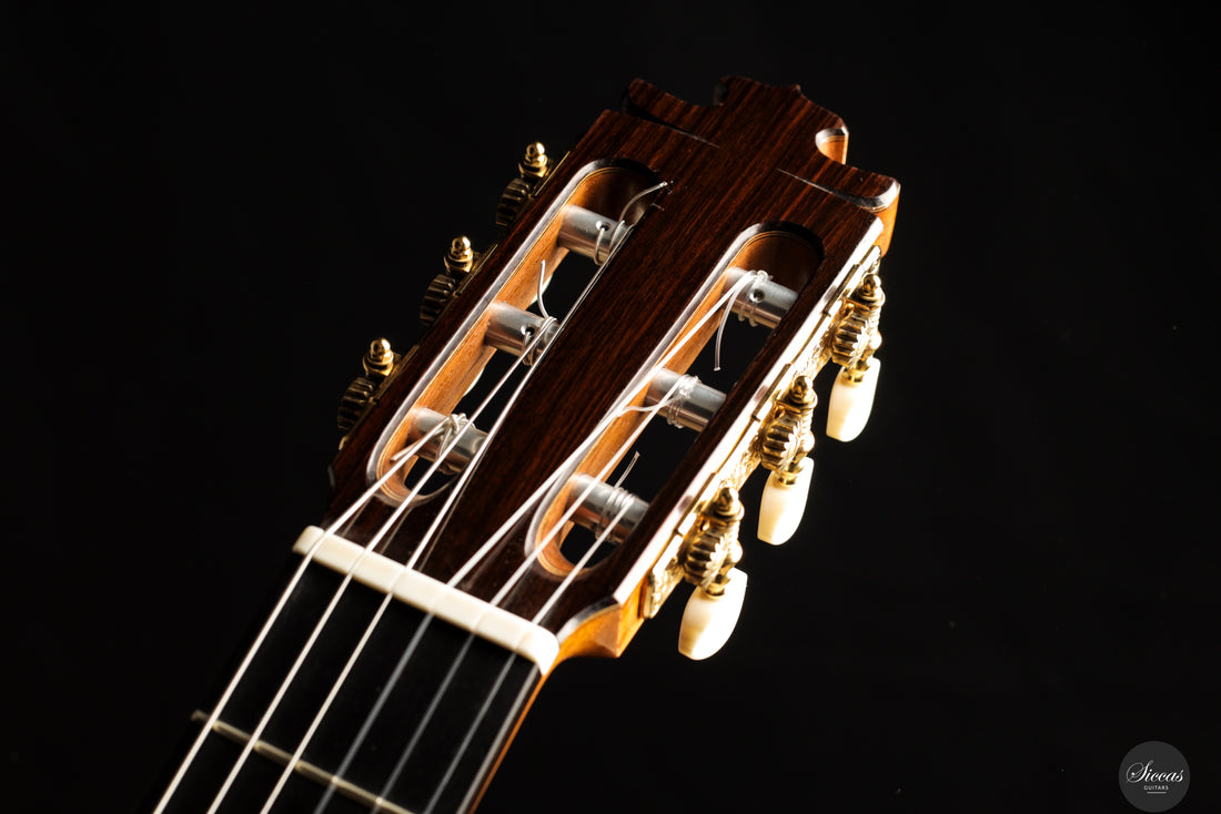 Francisco Barba - 2025