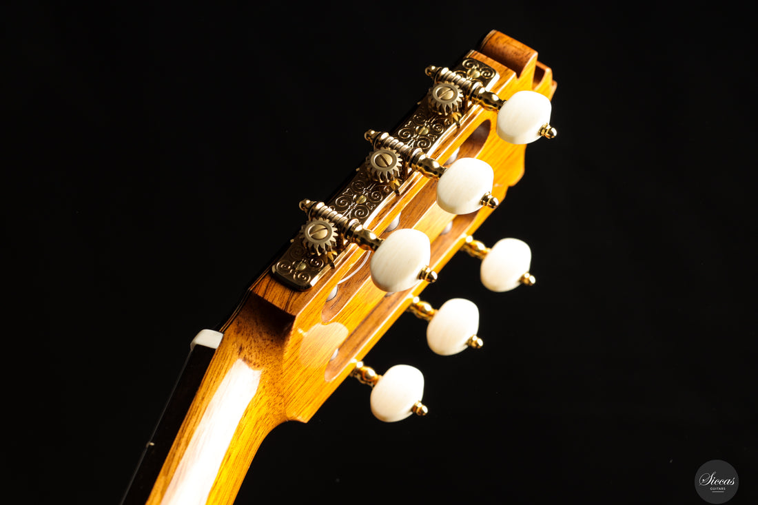 Francisco Barba - 2025