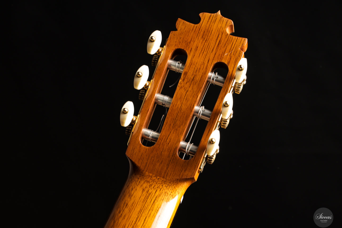 Francisco Barba - 2025