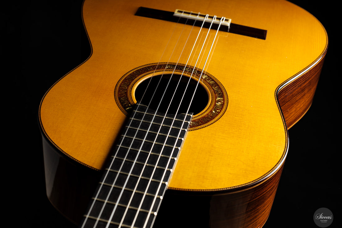 Francisco Barba - 2025