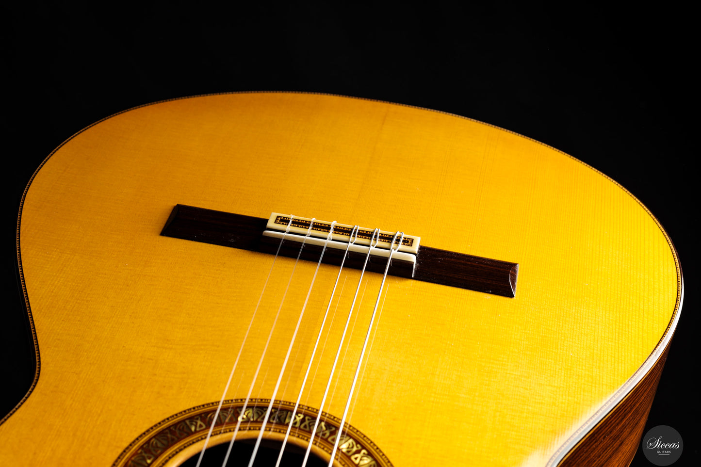 Francisco Barba - 2025