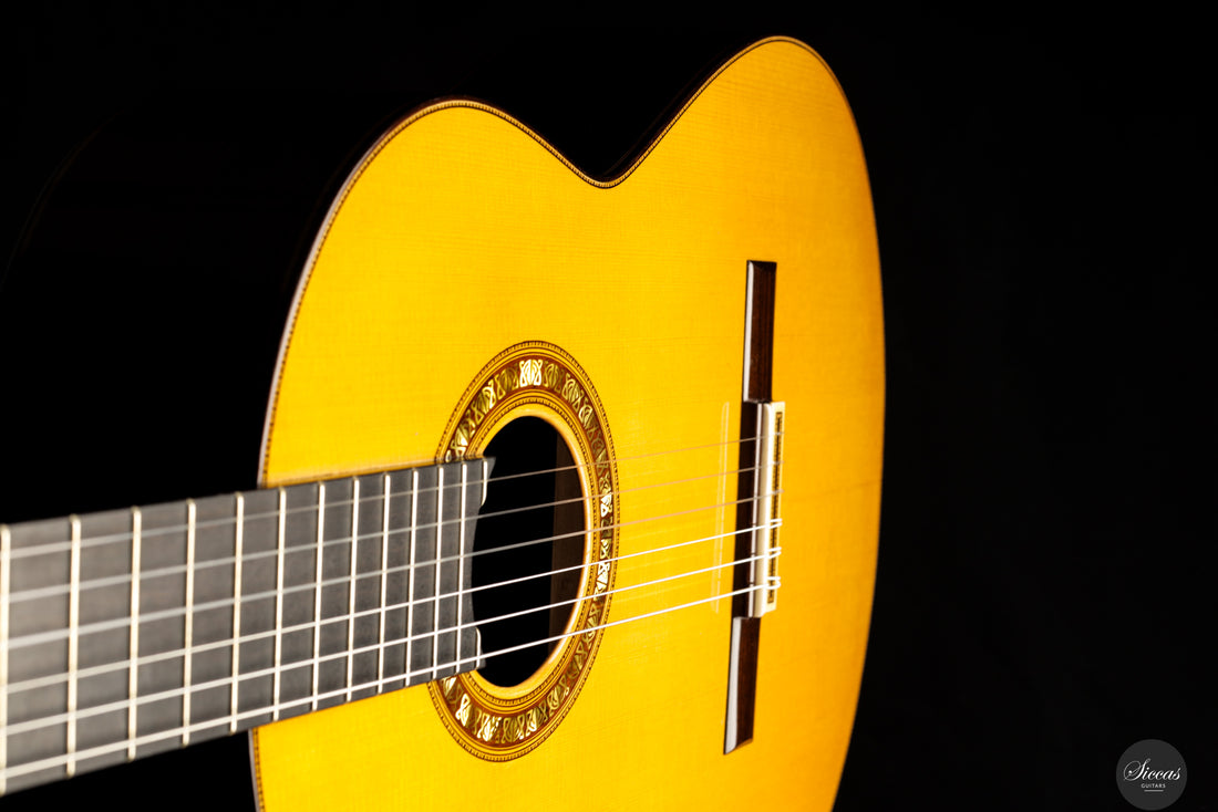 Francisco Barba - 2025