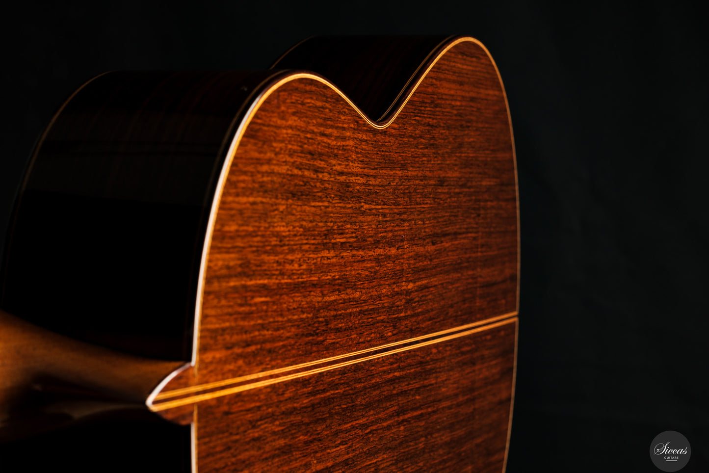 Francisco Barba - 2025