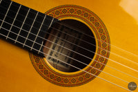 Francisco Barba - 2025 Flamenco No. 07