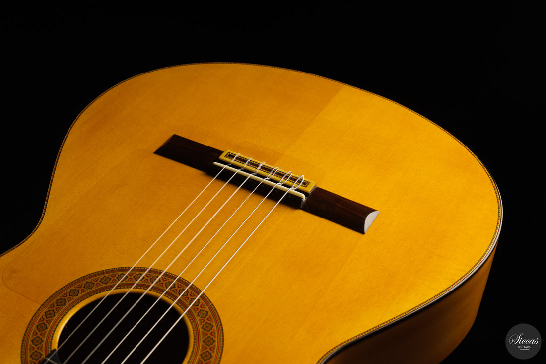 Francisco Barba - 2025 Flamenco No. 07