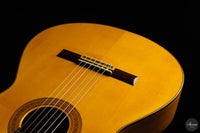Francisco Barba - 2025 Flamenco No. 07