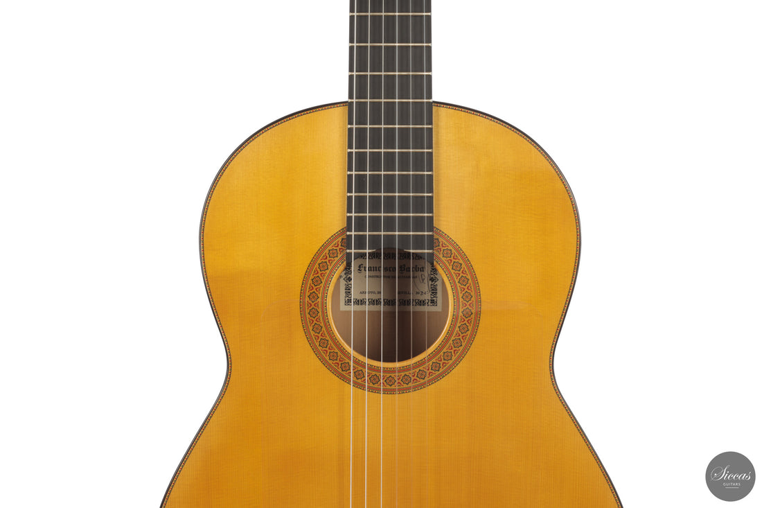 Francisco Barba - 2025 Flamenco No. 07