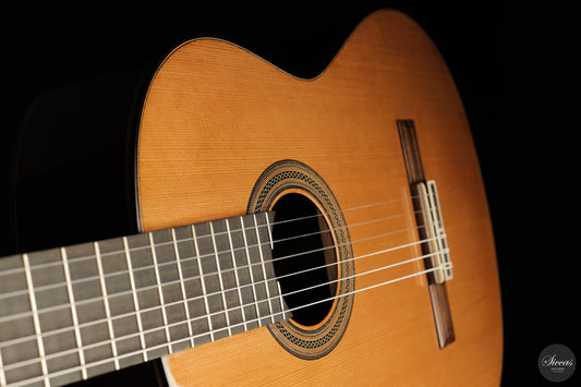 Francisco Gil Romero - 2026 img-2