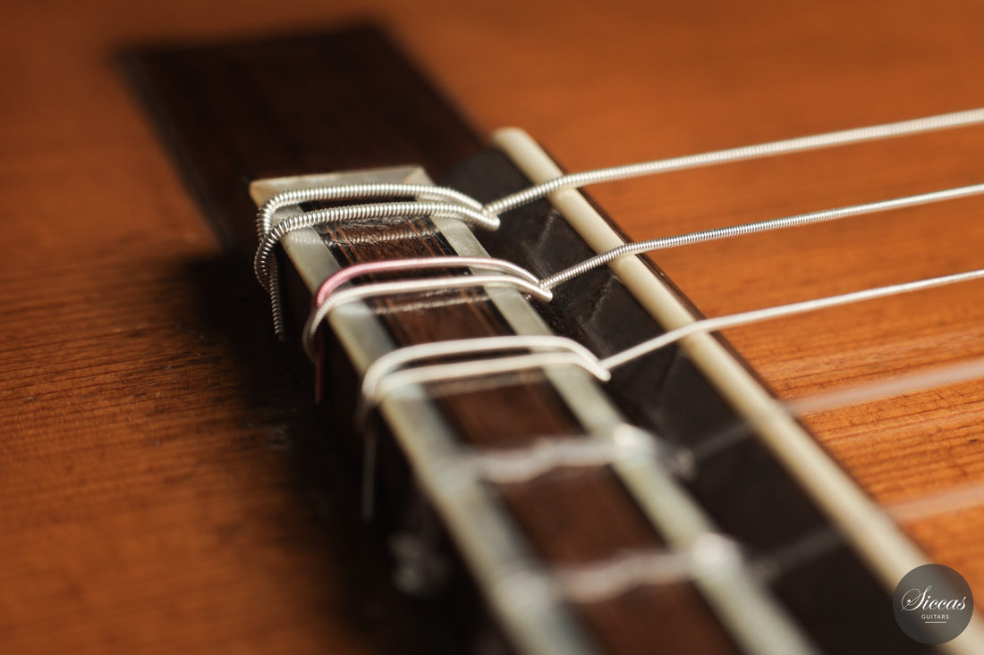 Francisco Simplicio - 1929 No. 266