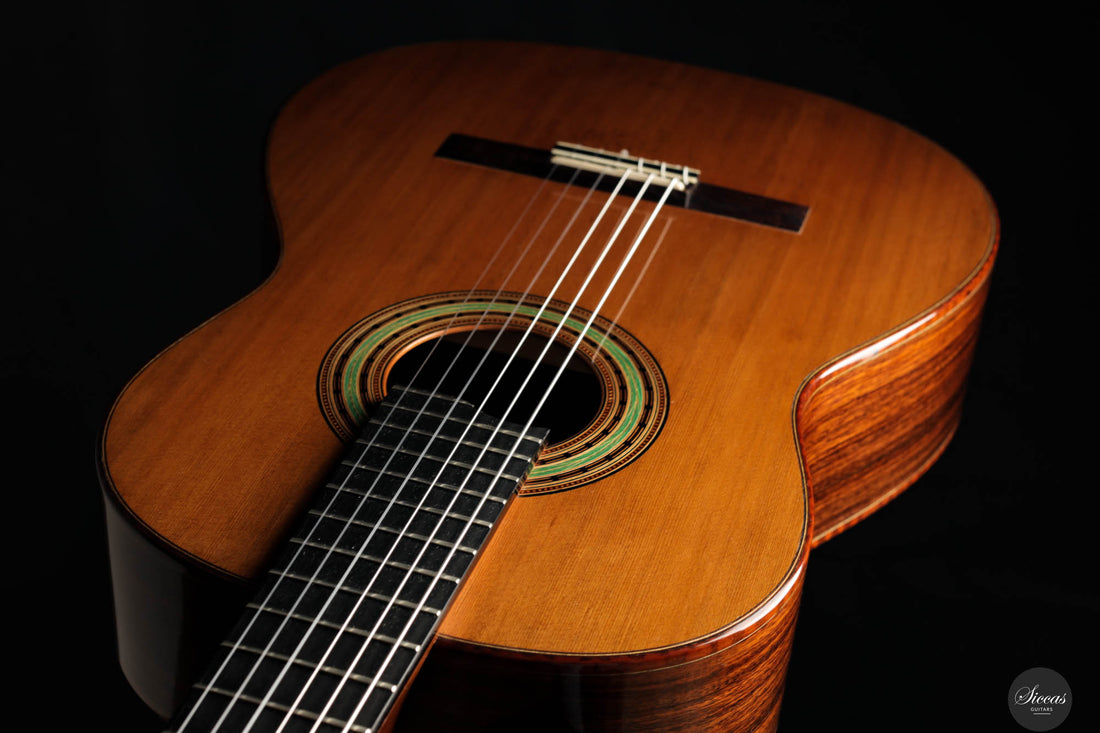 Fritz Mueller - 2009 No. 259 Doubletop
