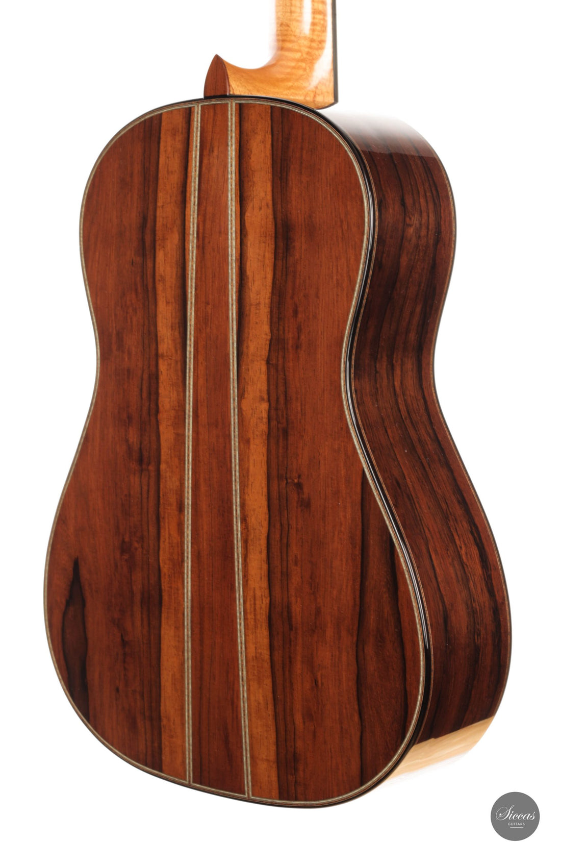 Gerardo Centonze - 2025 - REG 2025 Limited Edition