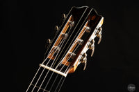 Gerardo Centonze - 2025 - REG 2025 Limited Edition