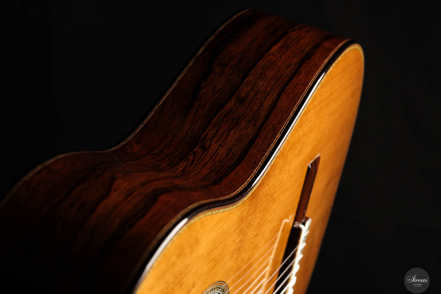 Gerardo Centonze - 2025 - REG 2025 Limited Edition