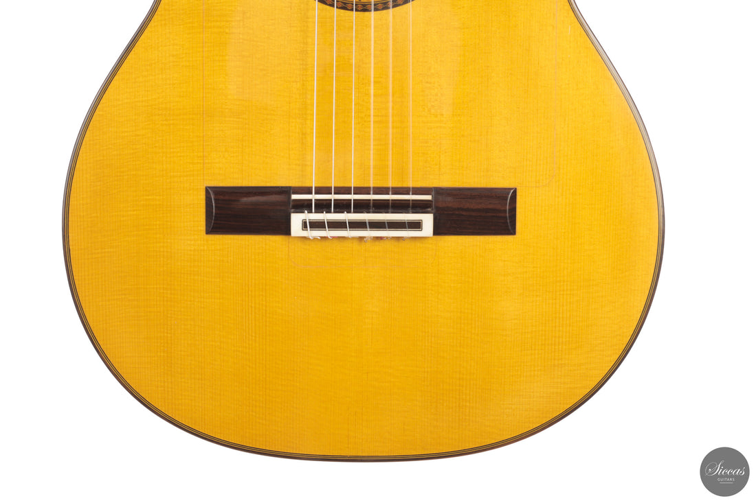 Gerundino Fernandez Hijo - 2026 Flamenco