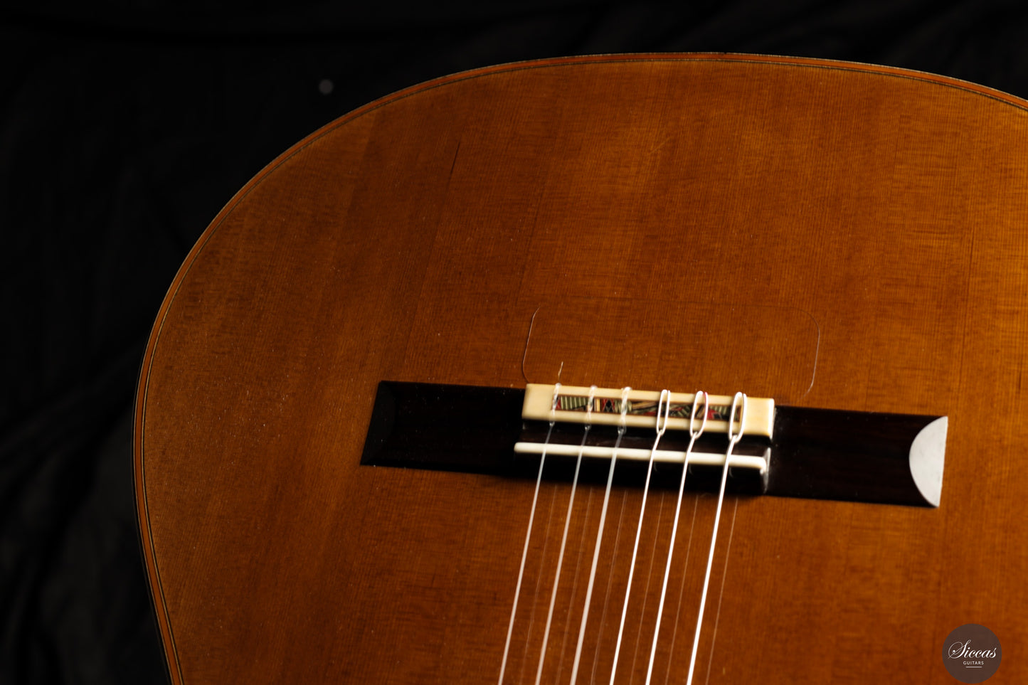 Giovanni Tacchi - 2024 "Daniel Friederich" No. 36