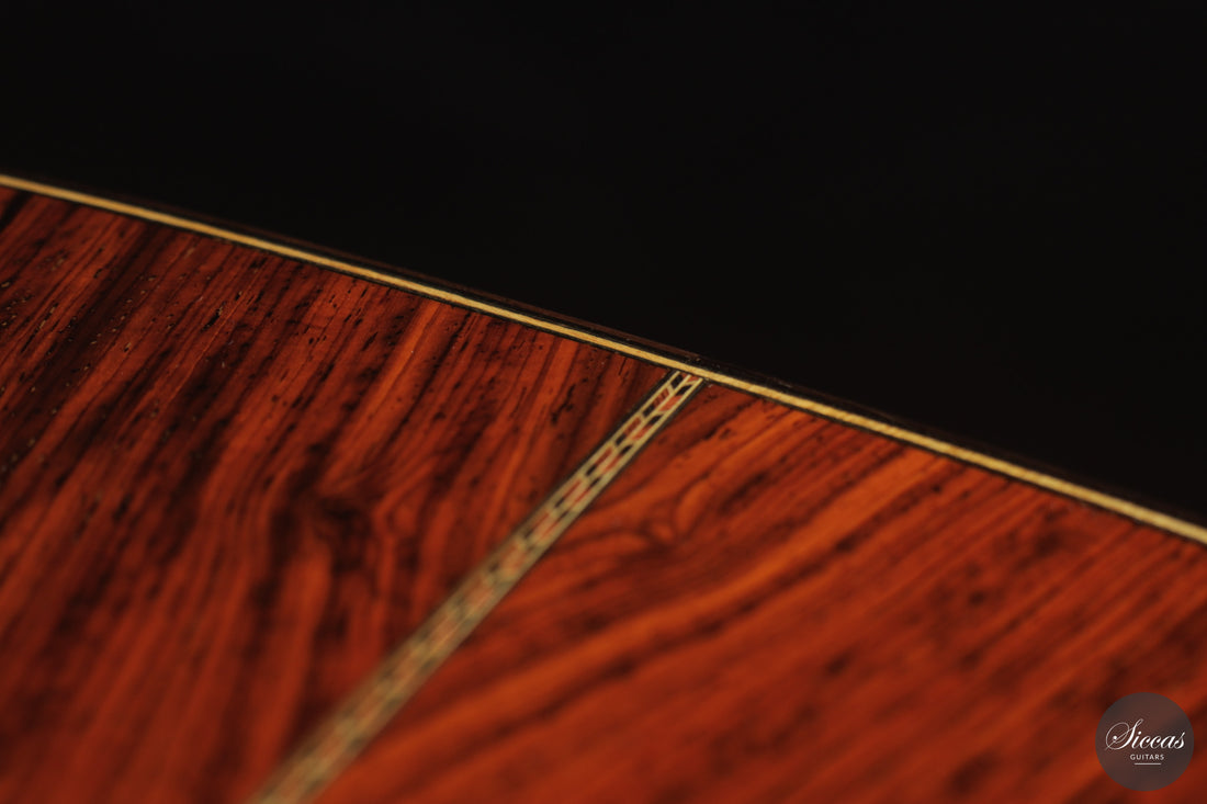 Heikki Rousu - 2026 10-string No. 494