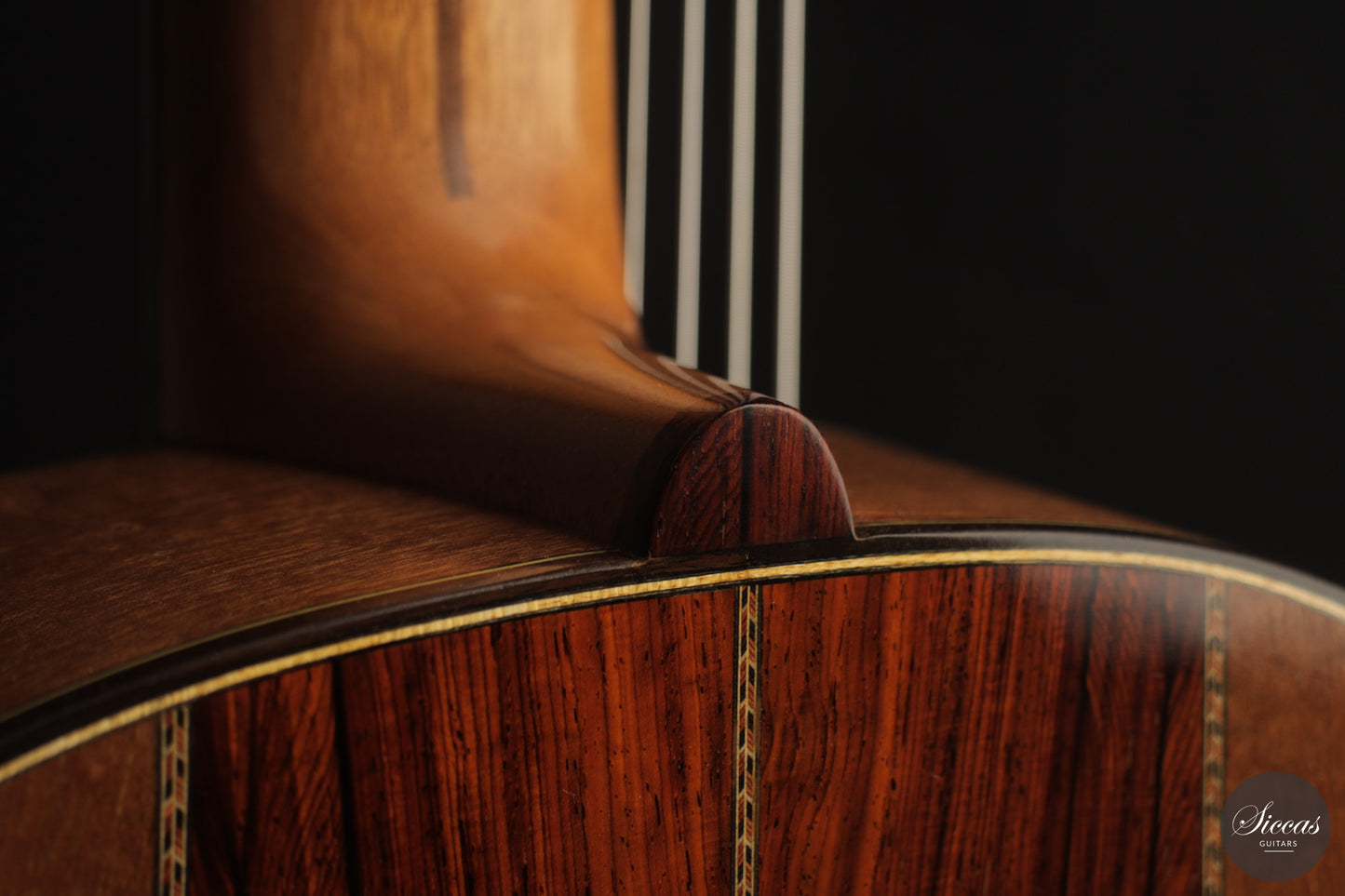 Heikki Rousu - 2026 10-string No. 494