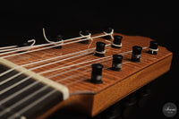 Heikki Rousu - 2026 10-string No. 494