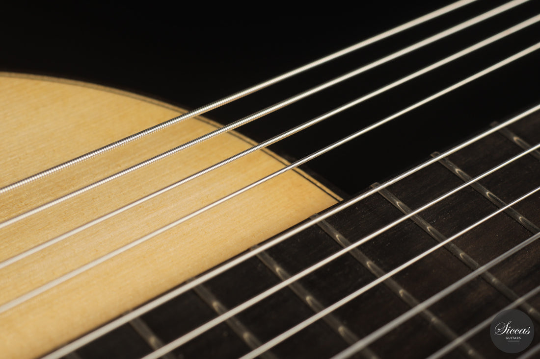 Heikki Rousu - 2026 10-string No. 494