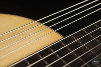 Heikki Rousu - 2026 10-string No. 494