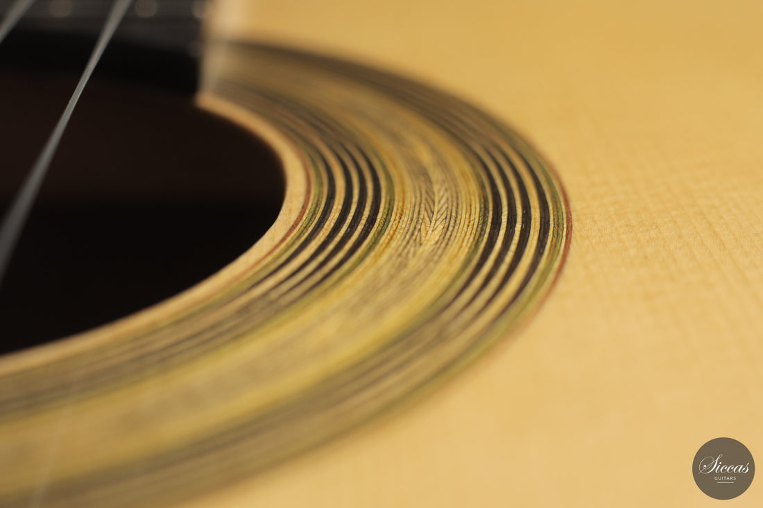 Heikki Rousu - 2026 10-string No. 494