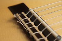 Heikki Rousu - 2026 10-string No. 494