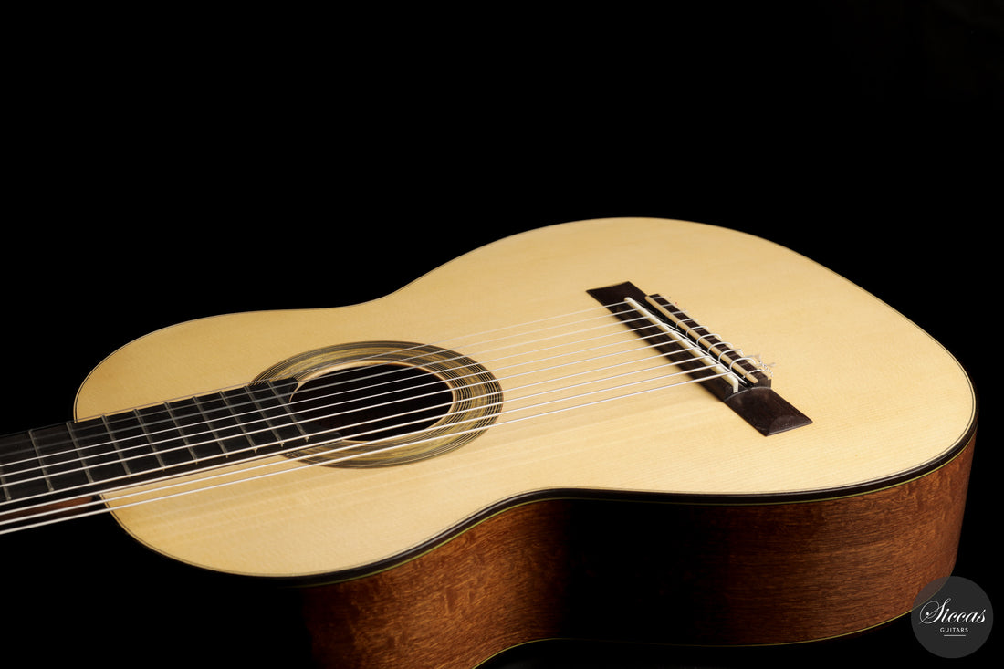 Heikki Rousu - 2026 10-string No. 494