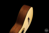 Heikki Rousu - 2026 10-string No. 494