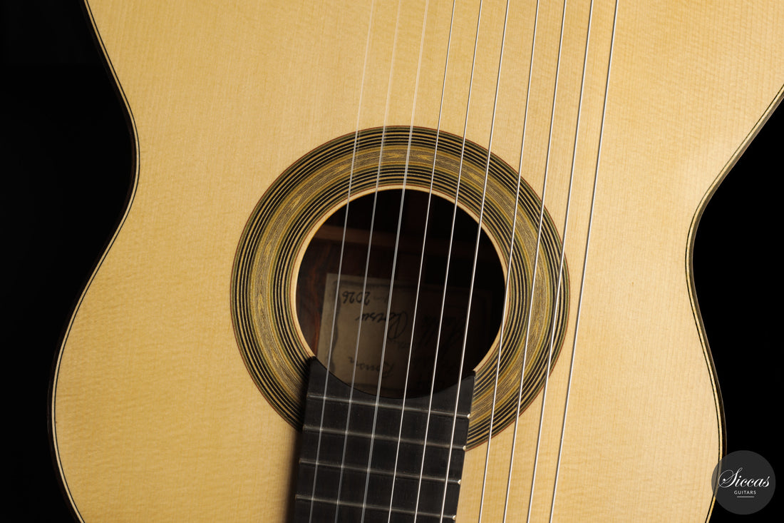 Heikki Rousu - 2026 10-string No. 494