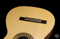 Heikki Rousu - 2026 10-string No. 494