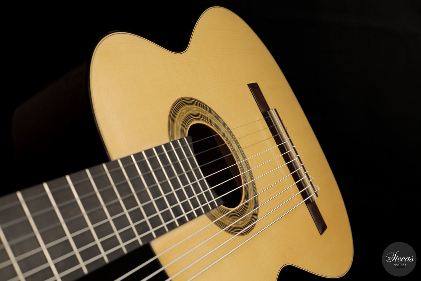 Heikki Rousu - 2026 10-string No. 494