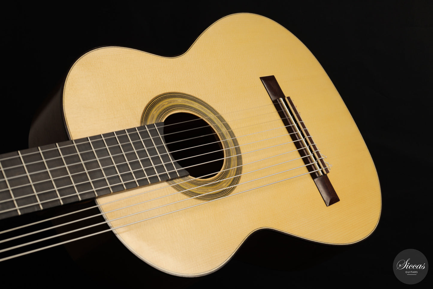 Heikki Rousu - 2026 10-string No. 494