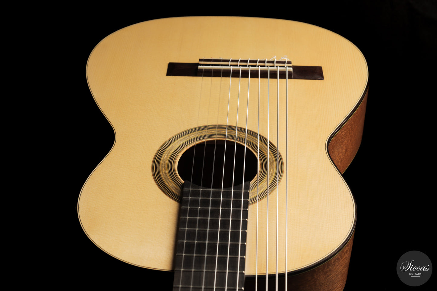 Heikki Rousu - 2026 10-string No. 494