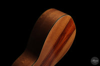 Heikki Rousu - 2026 10-string No. 494