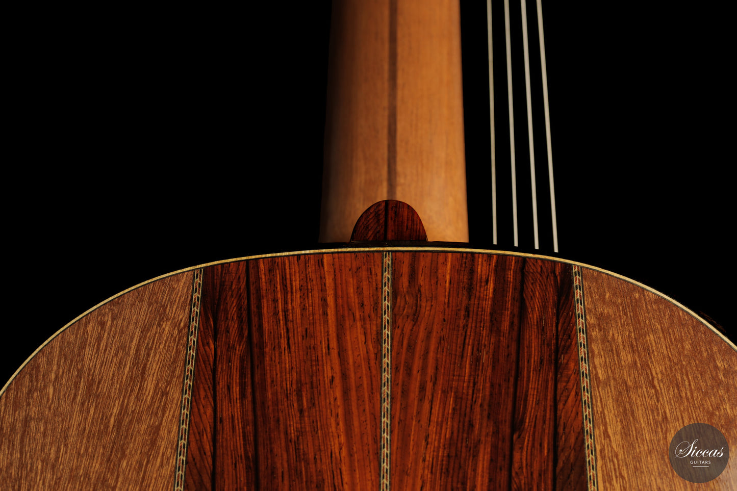 Heikki Rousu - 2026 10-string No. 494