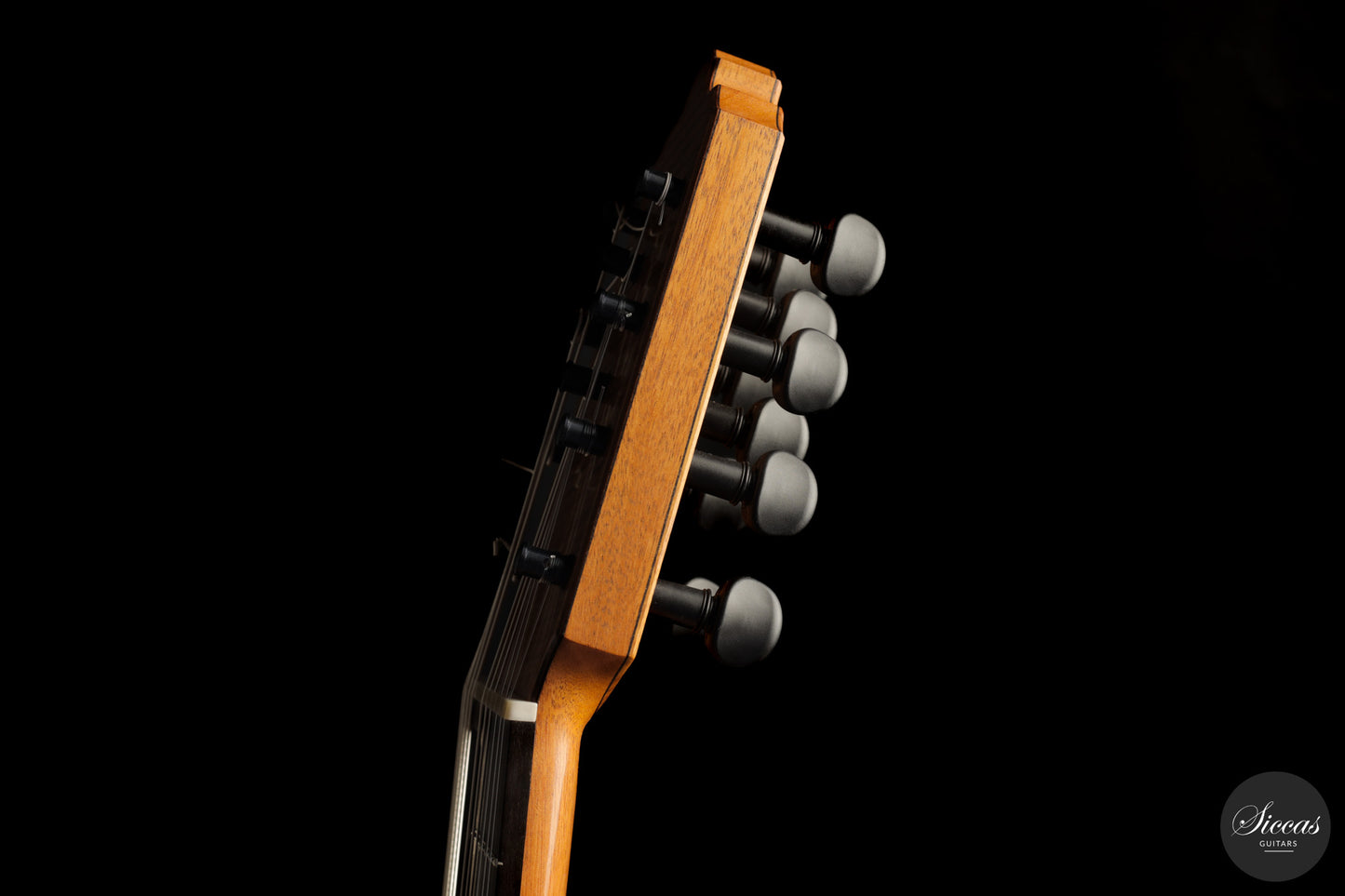 Heikki Rousu - 2026 10-string No. 494