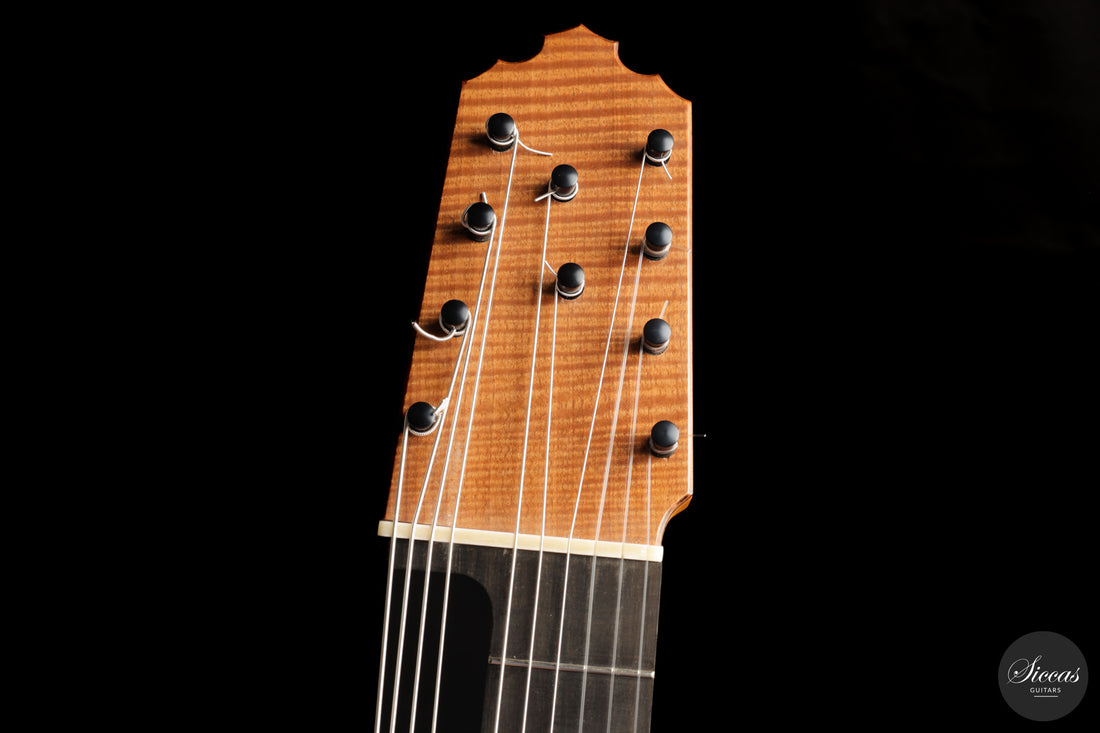 Heikki Rousu - 2026 10-string No. 494