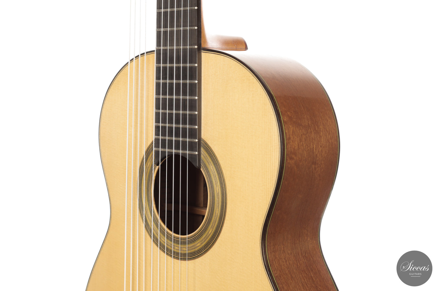 Heikki Rousu - 2026 10-string No. 494