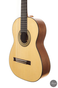 Heikki Rousu - 2026 10-string No. 494