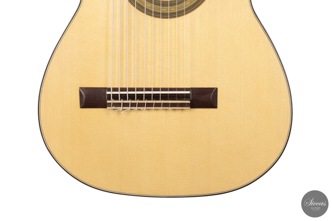 Heikki Rousu - 2026 10-string No. 494