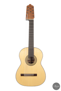 Heikki Rousu - 2026 10-string No. 494