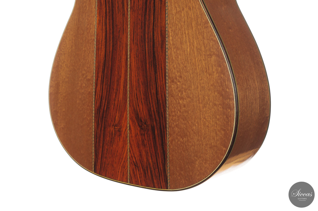 Heikki Rousu - 2026 10-string No. 494