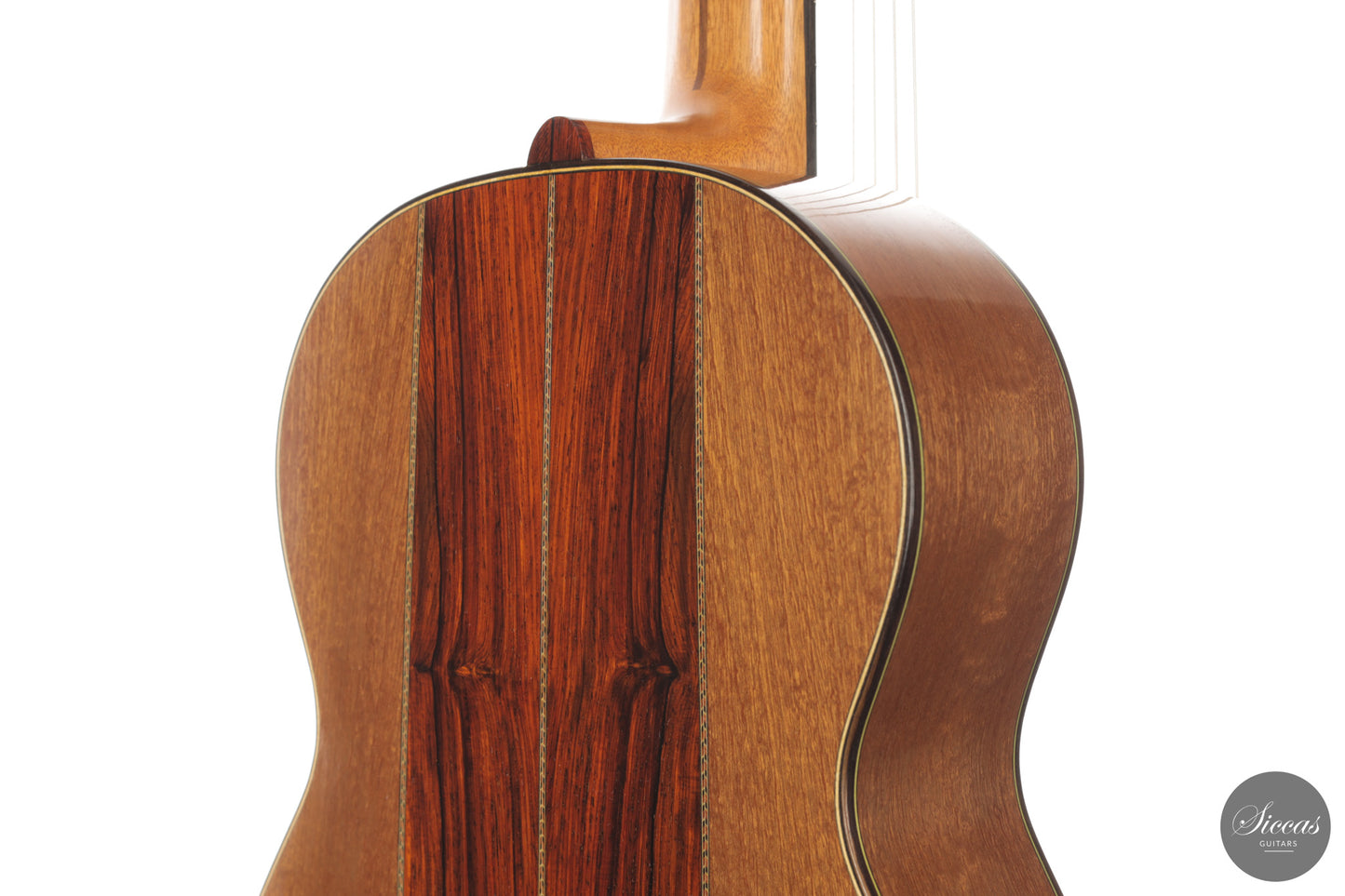 Heikki Rousu - 2026 10-string No. 494