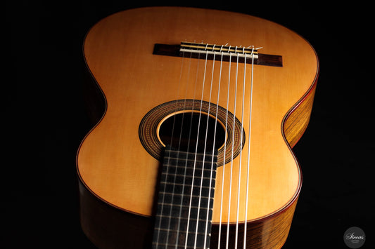 Heikki Rousu - 2025 10-string No. 477