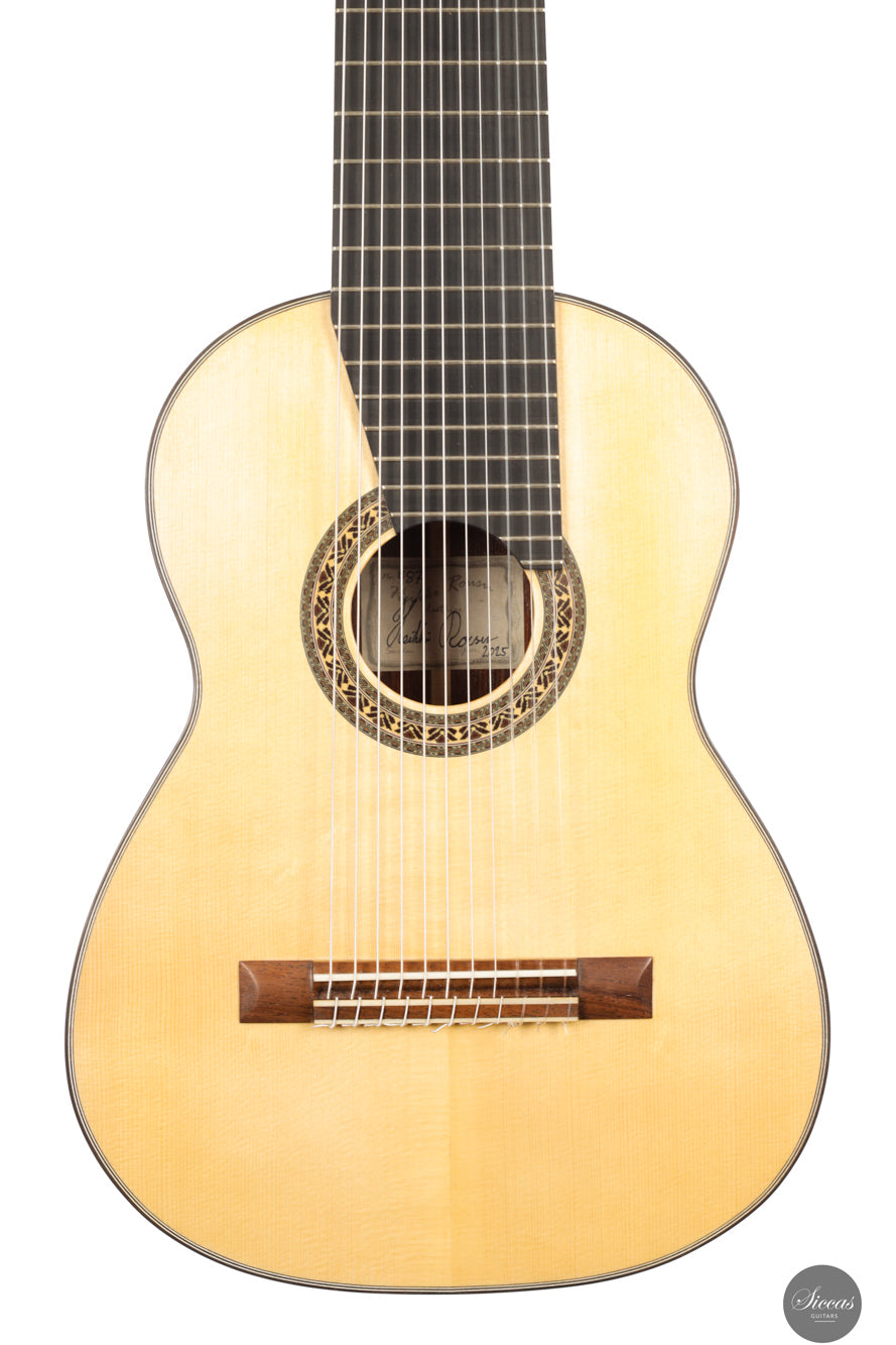 Heikki Rousu - 2025 No. 487 11-string