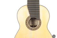 Heikki Rousu - 2025 No. 487 11-string